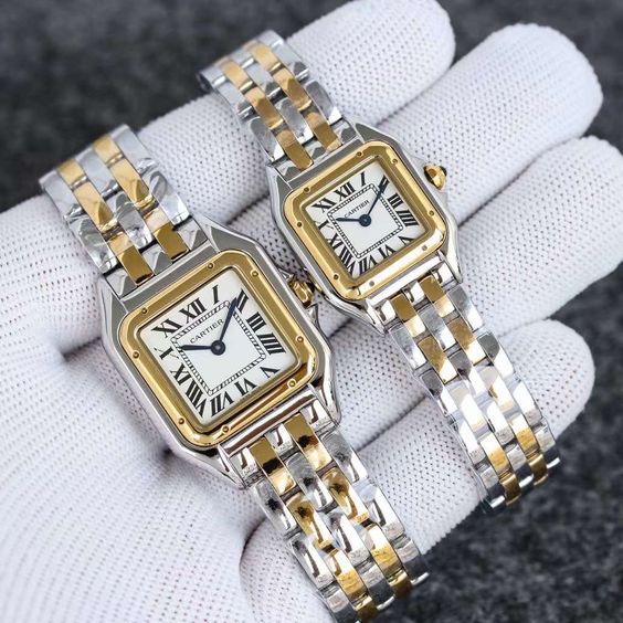 Montre Panthère de Cartier Argentée et Dorée Pour Femme