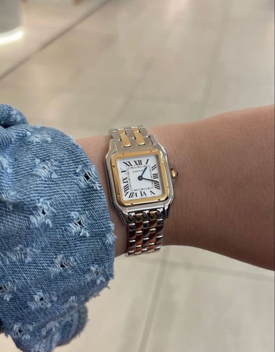 Montre Panthère de Cartier Argentée et Dorée Pour Femme